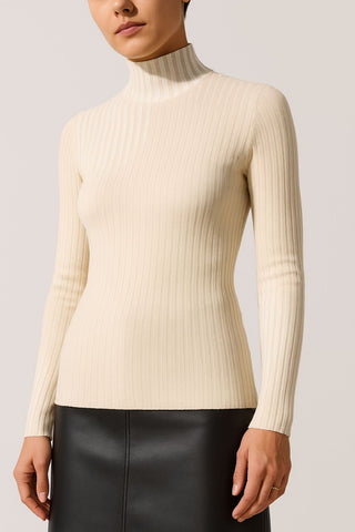 The Chamonix Turtleneck