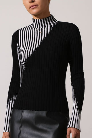 The Chamonix Turtleneck